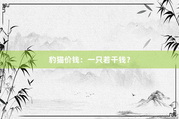 豹猫价钱：一只若干钱？