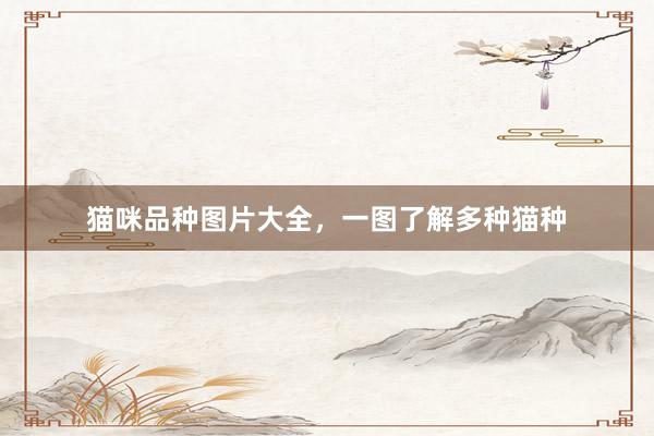 猫咪品种图片大全,一图了解多种猫种
